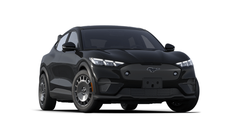 Mustang Mach-E® vehicle